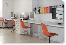 oficina de diseño web en la ciudad de manzanillo Asesores Web